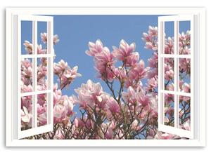 Obraz na plátne Kvitnúca magnólia za oknom Rozmery: 60 x 40 cm