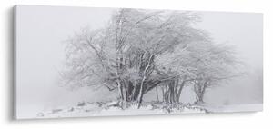 Obraz - Biela zima (120x50 cm)