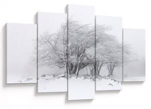 Obraz - Biela zima (150x105 cm)