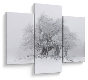 Obraz - Biela zima (90x60 cm)