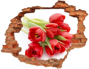 Samolepiaca diera na stenu nálepka Červené tulipány