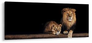 Obraz - Lev a levice (120x50 cm)