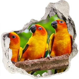 Nálepka fototapeta 3D na stenu Papagáje na vetve