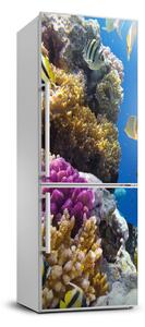 Nálepka fototapeta chladnička Koralový útes XL