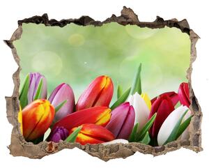 Samolepící díra na stěnu Farebné tulipány