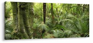 Obraz Tropický dažďový prales (120x50 cm)