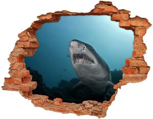 Fototapeta diera na stenu Veľký žralok nd-c-120086004