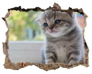 Díra 3D fototapeta na stěnu Malá mačka na okne