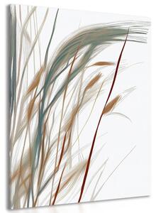Obraz minimalistické steblá trávy