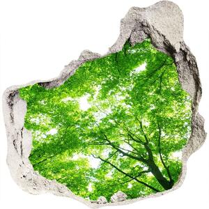 Nálepka 3D diera Green forest nd-p-103615746
