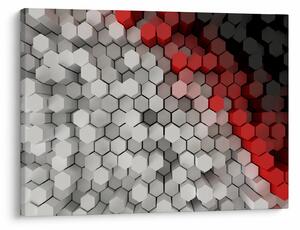 Obraz - 3D hexagóny (70x50 cm)