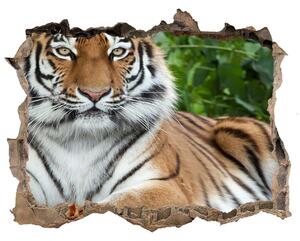Díra 3D fototapeta nálepka Tiger ussurijský