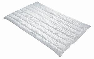 LETNÁ PRIKRÝVKA, 155/220 cm, polyester Centa-Star - Prikrývky & vankúše, Online Only