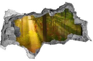 Nálepka fototapeta 3D výhľad Forest na slnku