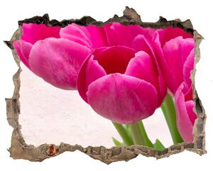 Samolepící díra na stěnu Ružové tulipány