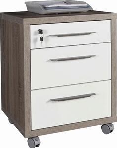 KONTAJNER NA KOLIESKACH, 48/63/45 cm Carryhome - Kontajnery