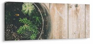 Obraz sukulentov v skle (120x50 cm)