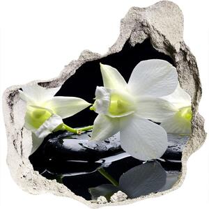 Foto fotografie diera na stenu Orchidea nd-p-28908662