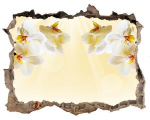 Samolepící díra na stěnu nálepka Orchidea nd-k-72852358