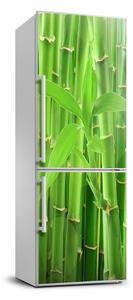 Fototapeta nálepka na chladničku Bambusy