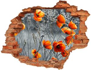 Samolepiaca diera múr Kvety maku nd-c-102051759