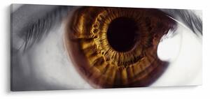 Obraz - Oko (120x50 cm)