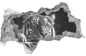 Diera 3D fototapeta nálepka Tiger nd-b-101258480
