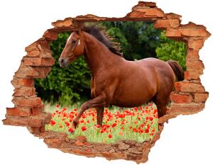 Diera 3D fototapeta nálepka Kôň v poli maku nd-c-85278470