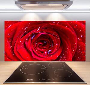 Dekoračný panel sklo Kvet ruže pl-pksh-120x60-f-100979783
