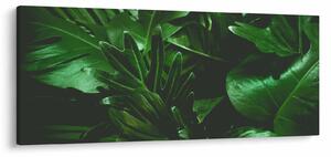 Obraz - Palmové listy (120x50 cm)
