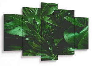 Obraz - Palmové listy (150x105 cm)