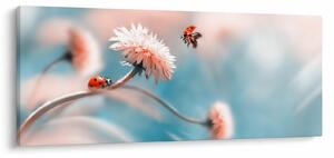 Obraz - Lienky na kvete (120x50 cm)