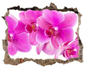 Samolepící díra nálepka Ružová orchidea nd-k-67673367