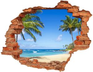 Diera 3D foto tapeta nálepka Tropické pláže