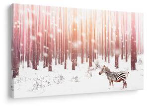 Obraz - Zebra v zasneženom lese (90x60 cm)