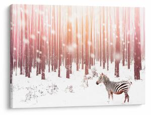 Obraz - Zebra v zasneženom lese (70x50 cm)