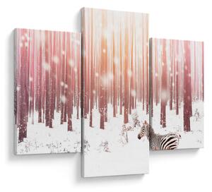 Obraz - Zebra v zasneženom lese (90x60 cm)