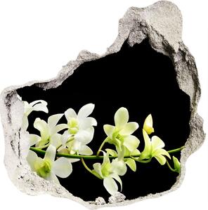 Samolepiaca diera na stenu nálepka Orchidea nd-p-4005190