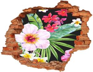 Foto fotografie diera na stenu Havajské kvety