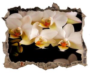 Nálepka fototapeta 3D výhled Orchidea nd-k-95410450