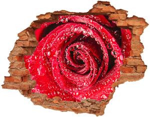 Samolepiaca diera na stenu Kvapky vody na ruže