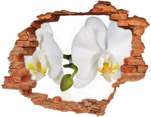 10D diera nálepka Orchidea nd-c-103920801