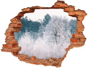 Foto fotografie diera na stenu Stromy v zime nd-c-142936706