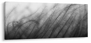 Obraz - Tráva vo vetre (120x50 cm)