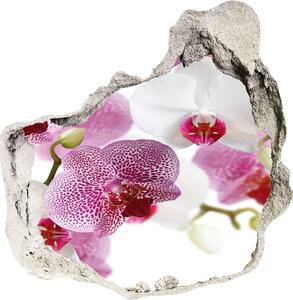 Samolepiaca diera na stenu nálepka Nástenné maľby orchidea