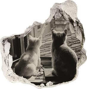 Nálepka 3D diera samolepiaca Mačky v okne nd-p-86646592
