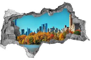 Fototapeta diera na stenu 3D New york na jeseň