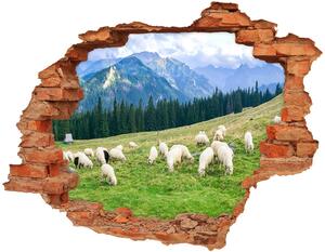 Nálepka fototapeta na stenu Ovce v tatrách nd-c-121151461