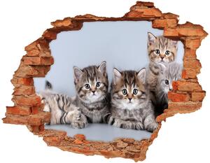 Nálepka 3D diera na stenu Päť mačiek nd-c-75950374