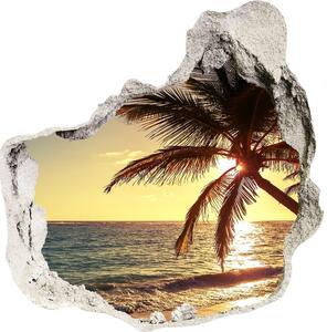 Fototapeta diera na stenu 3D Tropické pláže nd-p-83274893